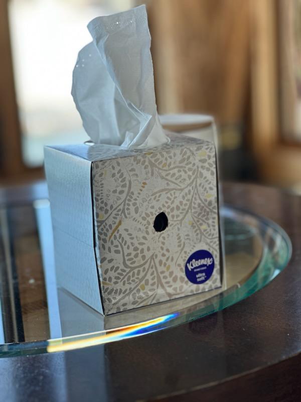 hidden camera inside a kleenex box