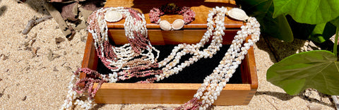 Niiahu Shells In a Box