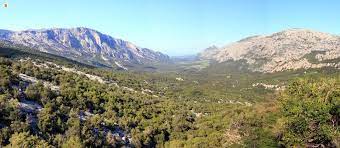Foresta demaniale del Monte Limbara, Sardegna