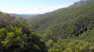 Parco del Sulcis, Sardegna