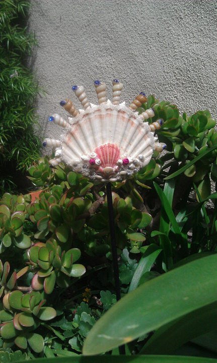 Garden Shell 3 - Shells