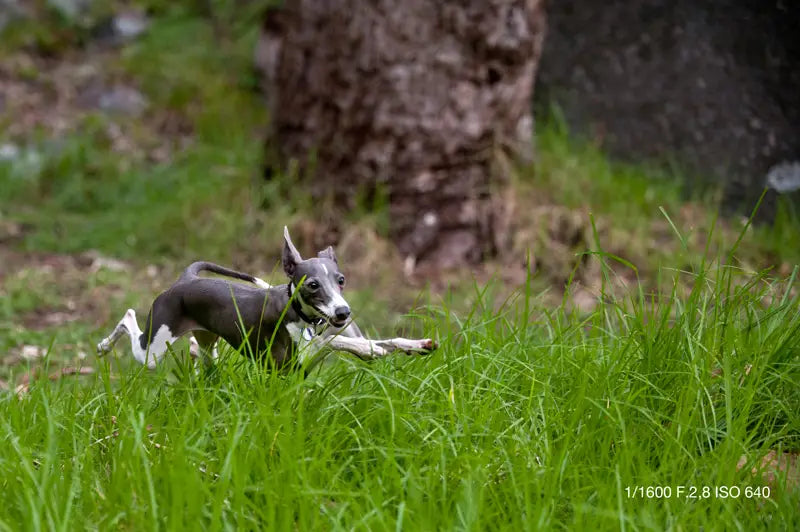 How To Make Use Of Shutter Speed