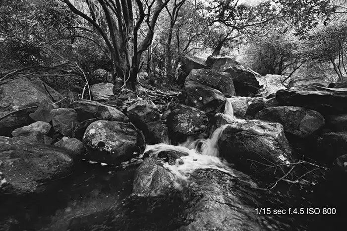 How To Make Use Of Shutter Speed