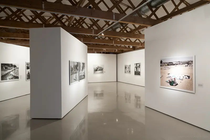 "Structures Of Dominion & Democracy" By David Goldblatt