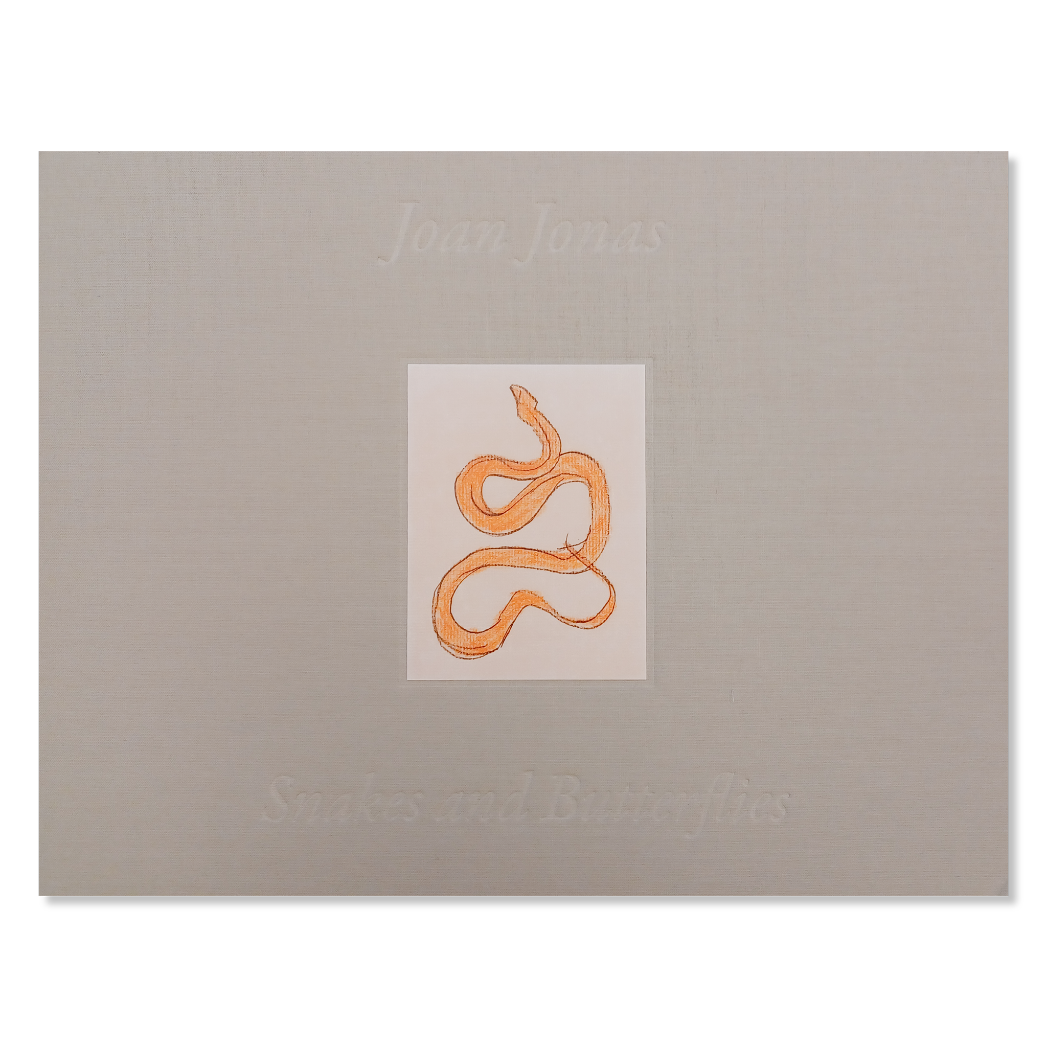 Orange snake illustration on paper that's adhered to a grey book cover. Large italic debossed text is at the center top and bottom of the cover.