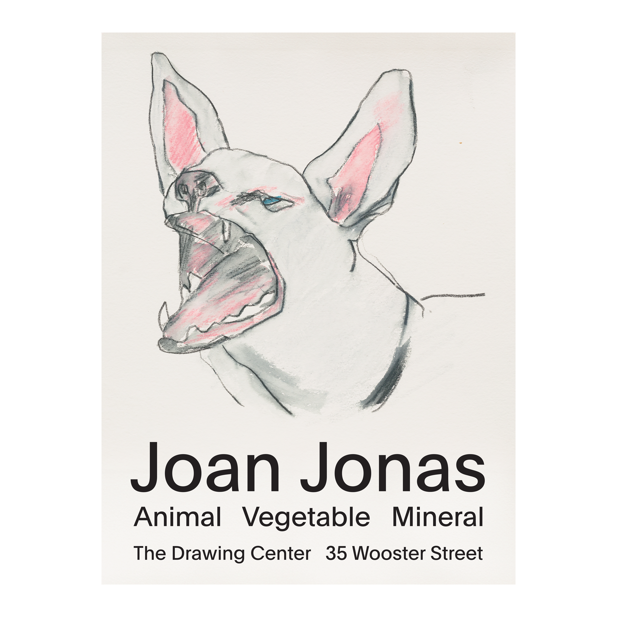 Joan Jonas 18x24 inch Poster