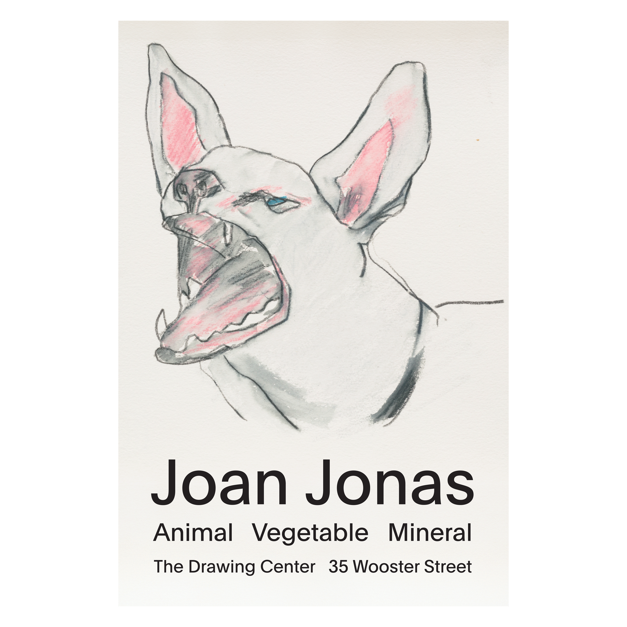 Joan Jonas 24x36 inch Poster