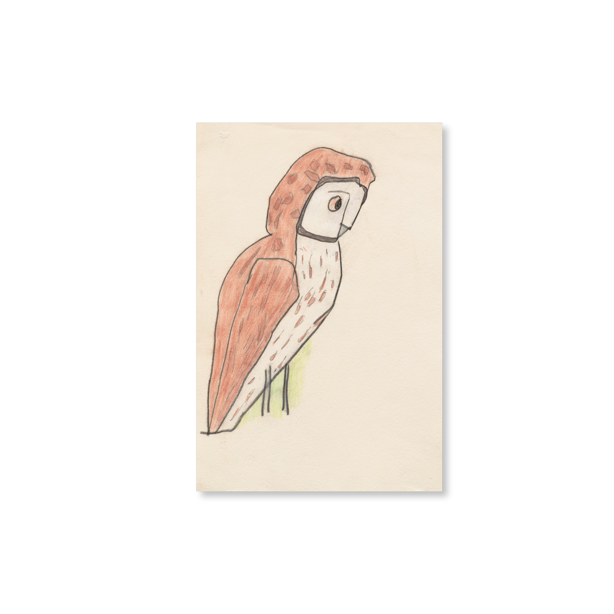 An illustration of an owl. The owl's body is positions sideways from the left of the image. It's body is brown with a white belly. 