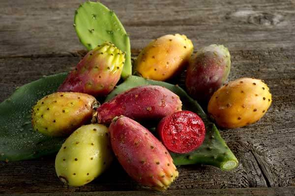 Prickly-Pear_efd8ff75-3077-45c2-8917-4e779768b910