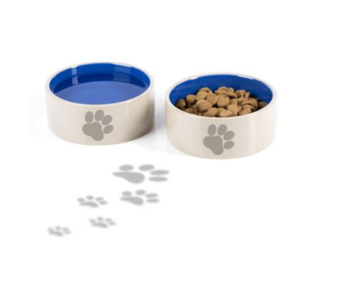 Two white and blue pet bowls with paw prints, one empty and one full of kibble