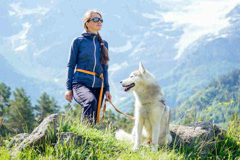 A person and a white dog on a mountain trail with a scenic view in the background.