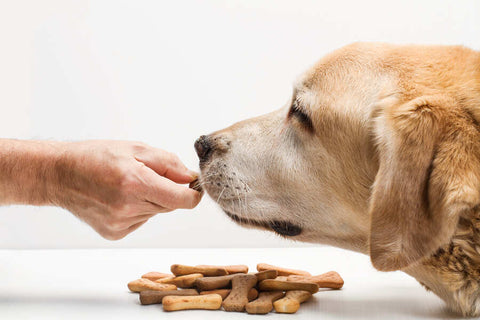 A dog being fed a treat by a hand with a pile of treats in the background