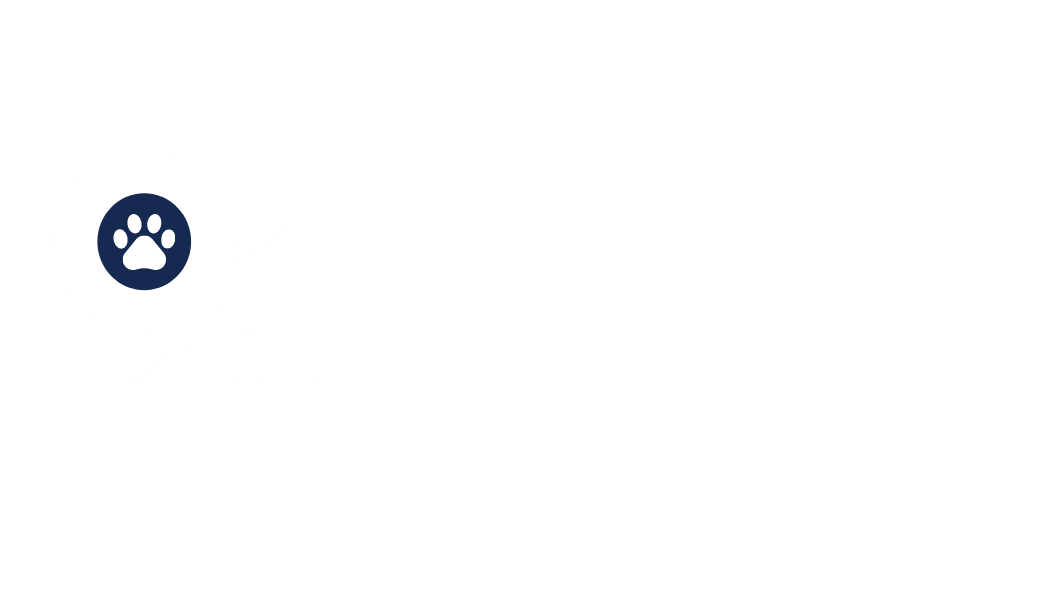 Ozzie Albies Foundation