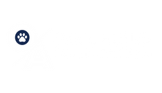 Ozzie Albies Foundation