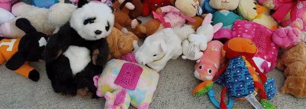 Some of our actual stuffed animals