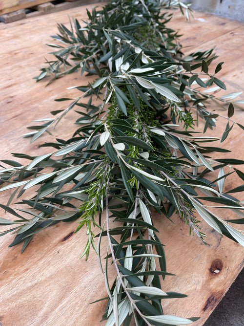 Olive Branches w/Eucalyptus Garland Per FT – Carlsbad Florist, San Diego  Wholesale Flowers