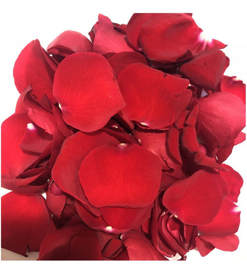 Bloomingmore Wholesale Red Rose Petals | 3000-5000 Petals Red / 3 Bags