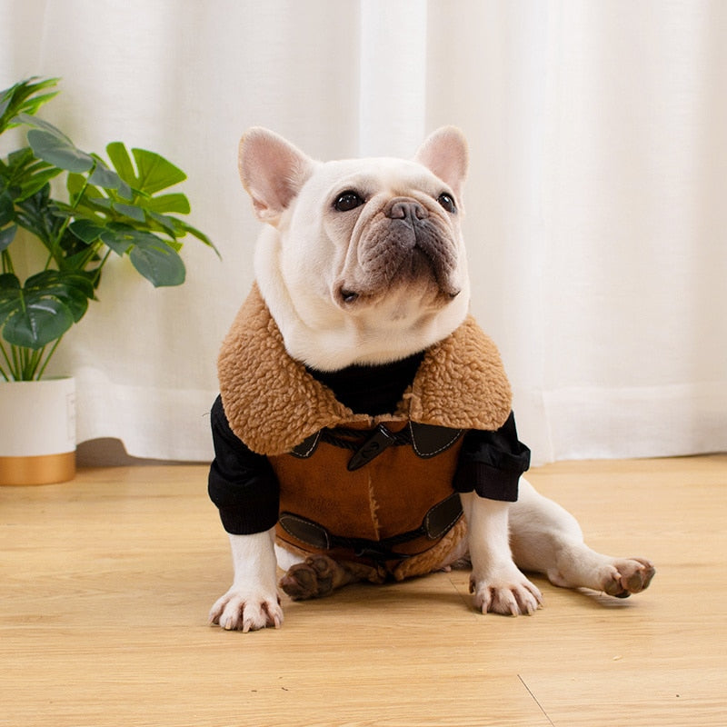 frenchie leather jacket