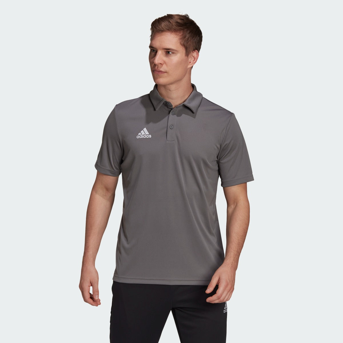 adidas Entrada 22 Polo Shirt