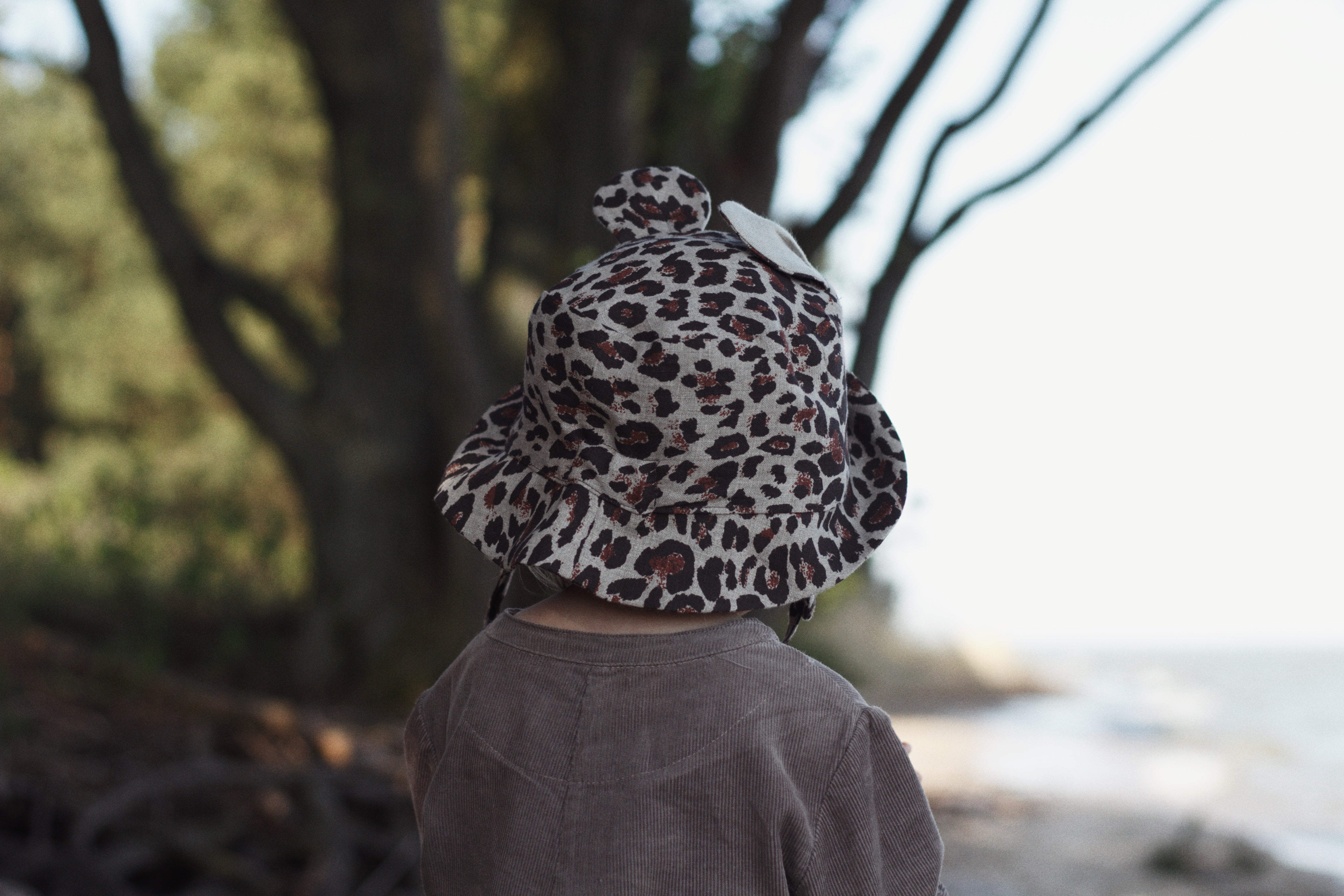 ＷＥＢ限定カラー有 ash generation oat bear hat 49cm | maximise.mu