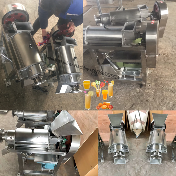 ginger juicer extractor machine