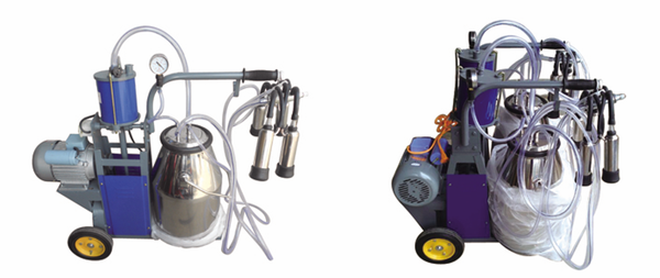 Piston type cow milking machine