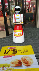 intelligent Welcoming robot with screen