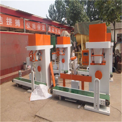 Rice Packing Machine