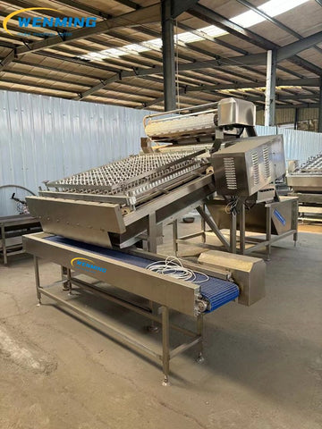 Prawn Peeling Machine