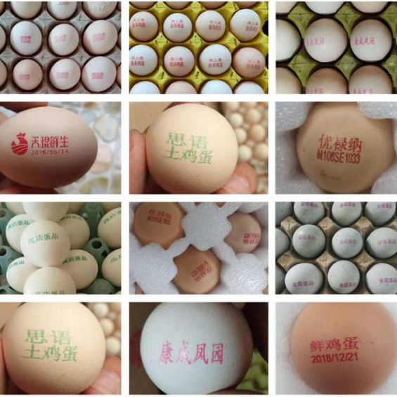 Eggs printing Zhengzhou Wenming Machiney Co.,Ltd