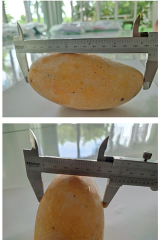 frozen mango length