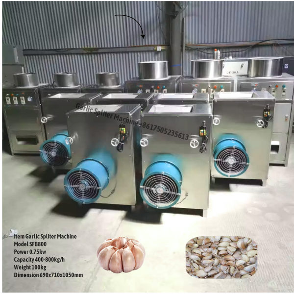 Garlic Splitting machine Garlic Peeling machine