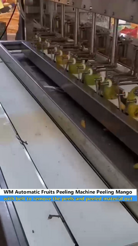 Industrial Mango Peeling Machine