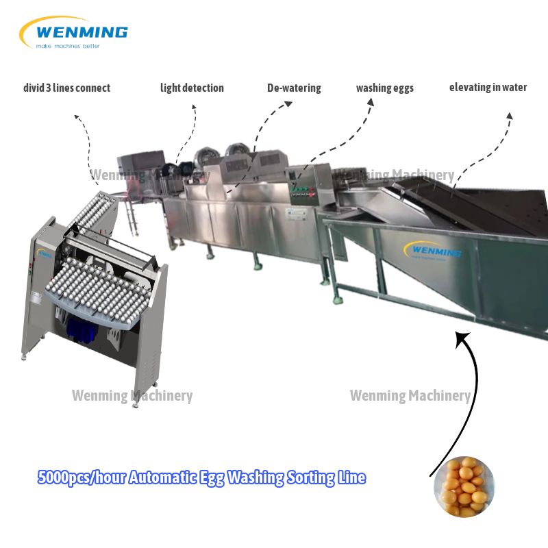 5400pcs/h Egg Washing-Sorting-Production Line