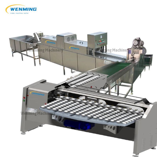 Automatic Egg Washer Machine 2000pcs per hour Wenming Machinery – WM  machinery