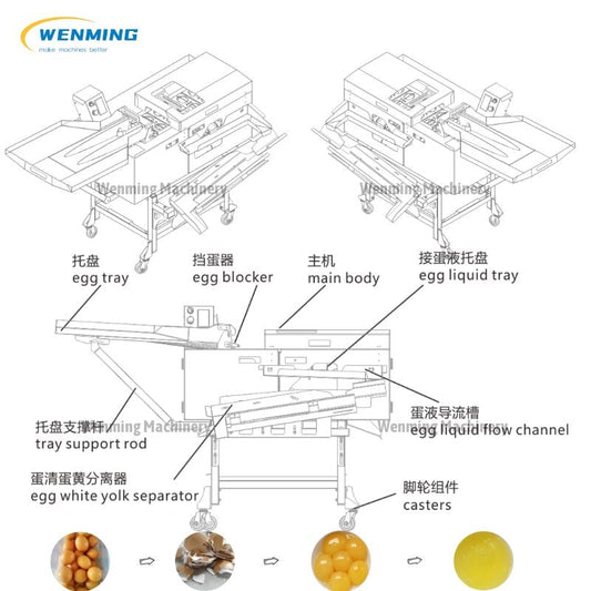 Automatic Egg Separator Machine Egg Breaker white and yolk separator m – WM  machinery