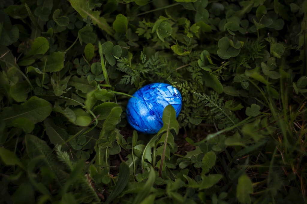 Easter egg laying on green plants