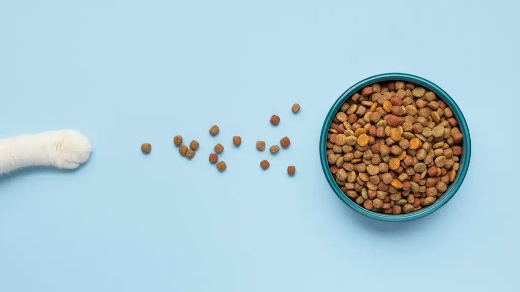 Fish meal in dog food