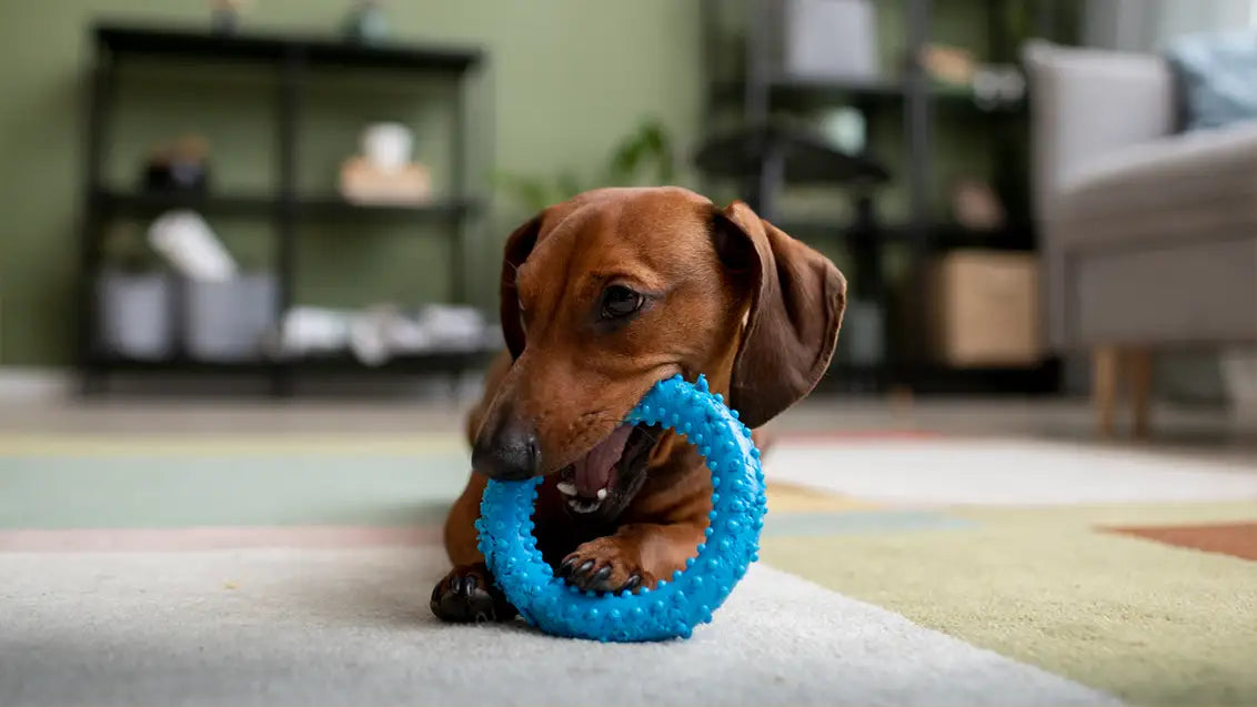 Puppy Teether Ring