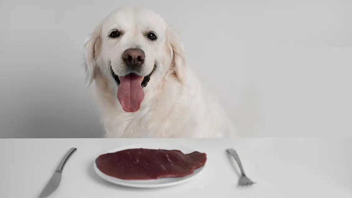 customized homemade dog food