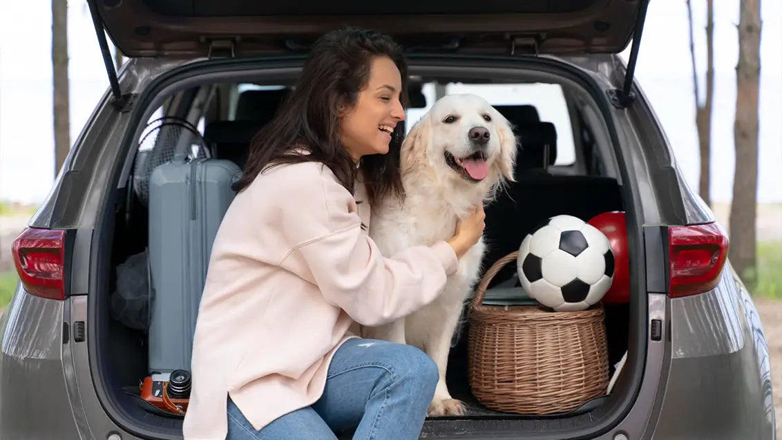 easy to clean Travel dog crates