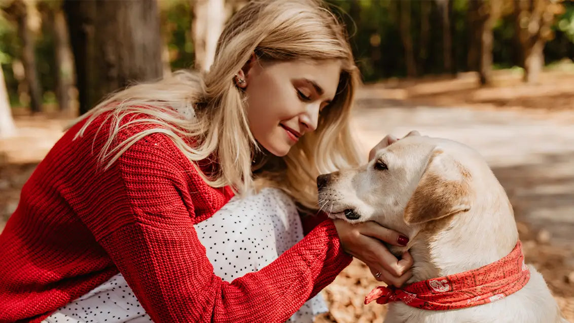 valentines dog bandana