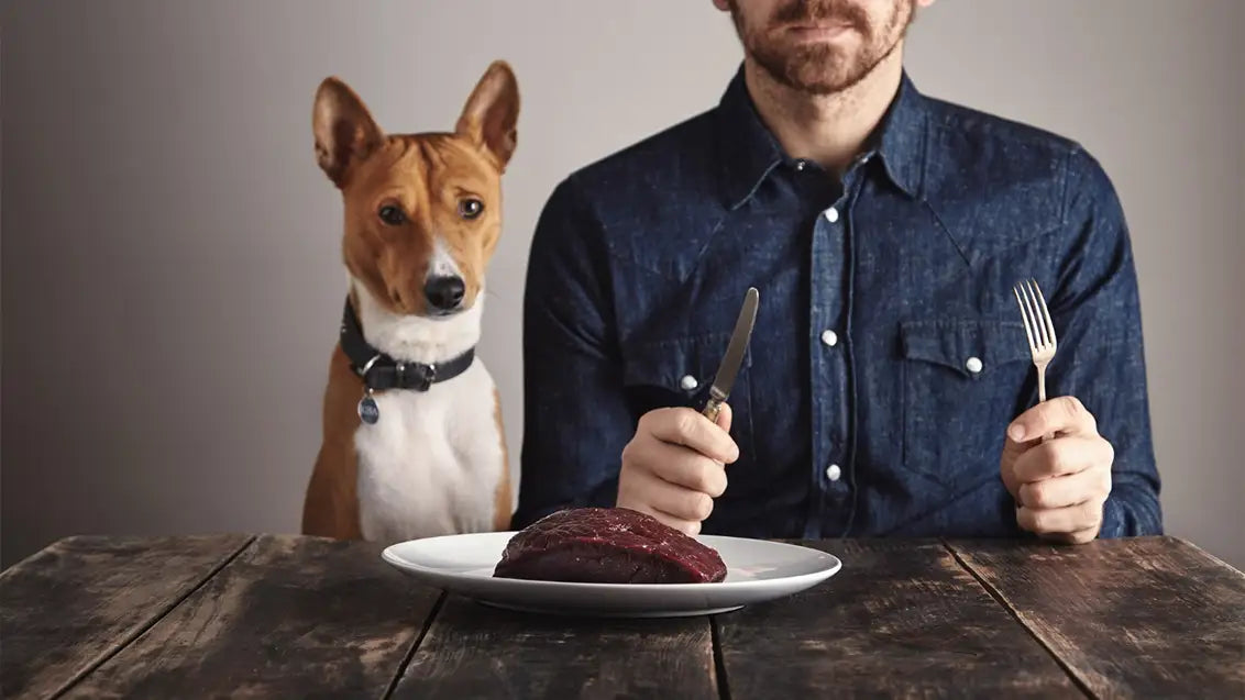 worst dog food brands