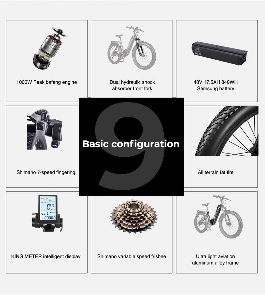 Paselec Bike upgrade Bafang system Kit (Components Bafang Motor, Kingm –  paselecbike