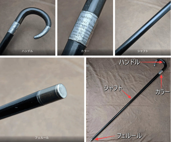 parts of the walking stick