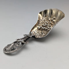 Tea Caddy Spoon