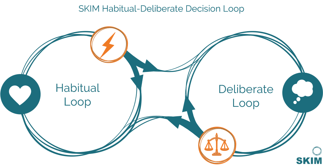 Habits and delierate actions cycle - displayed in the continuous efforts required to promote change.