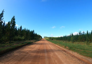 Noosa Gravel Tour - Gallery Image 6