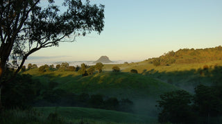 Noosa Gravel Tour - Gallery Image 11