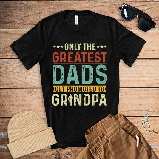 Men's There are only 2 Genders T-Shirt Conservative Tee Shirt Papa dad  Grandpa Gift tee Shirt 